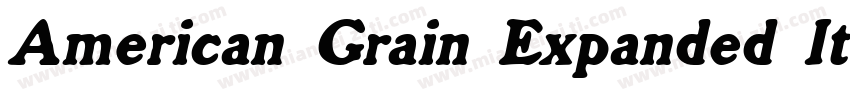 American Grain Expanded Italic字体转换